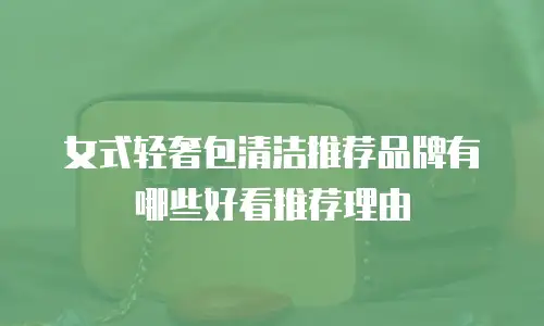 女式轻奢包清洁推荐品牌有哪些好看推荐理由