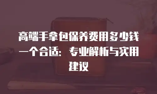 高端手拿包保养费用多少钱一个合适：专业解析与实用建议