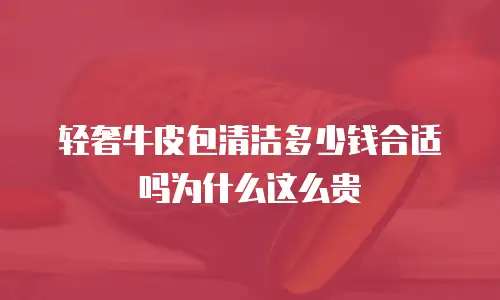 轻奢牛皮包清洁多少钱合适吗为什么这么贵