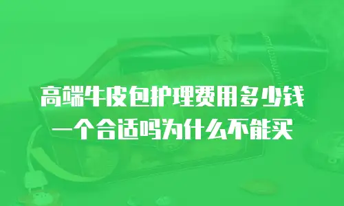 高端牛皮包护理费用多少钱一个合适吗为什么不能买