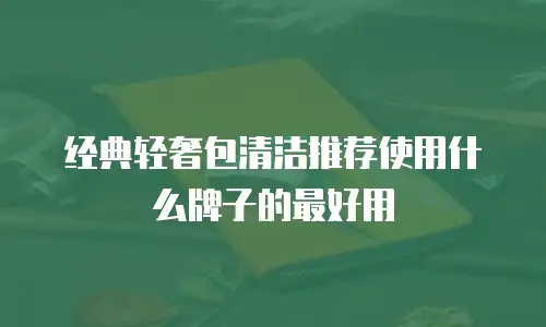 经典轻奢包清洁推荐使用什么牌子的最好用