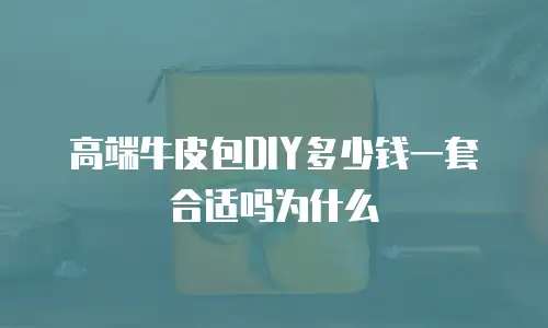 高端牛皮包DIY多少钱一套合适吗为什么