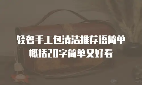 轻奢手工包清洁推荐语简单概括20字简单又好看