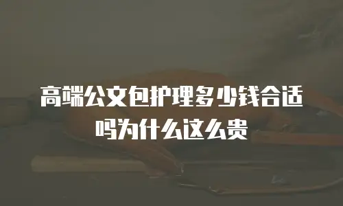 高端公文包护理多少钱合适吗为什么这么贵