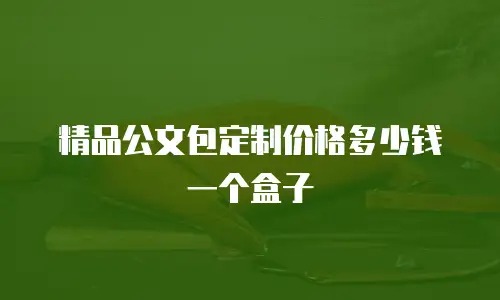 精品公文包定制价格多少钱一个盒子