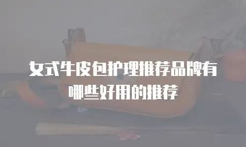 女式牛皮包护理推荐品牌有哪些好用的推荐
