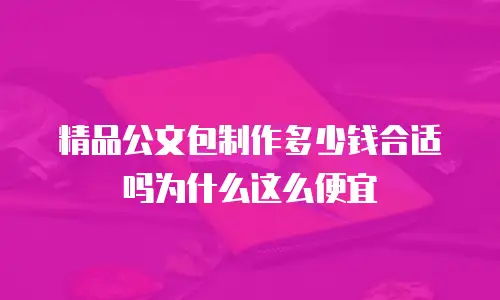 精品公文包制作多少钱合适吗为什么这么便宜