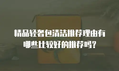 精品轻奢包清洁推荐理由有哪些比较好的推荐吗？
