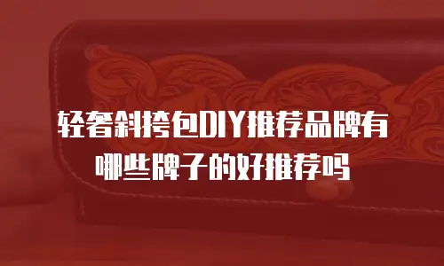 轻奢斜挎包DIY推荐品牌有哪些牌子的好推荐吗