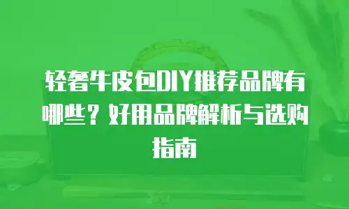 轻奢牛皮包DIY推荐品牌有哪些？好用品牌解析与选购指南