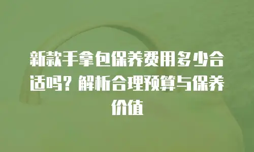 新款手拿包保养费用多少合适吗？解析合理预算与保养价值