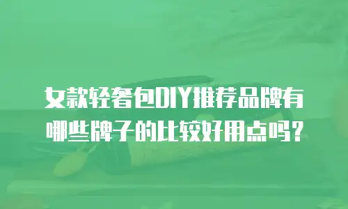 女款轻奢包DIY推荐品牌有哪些牌子的比较好用点吗？
