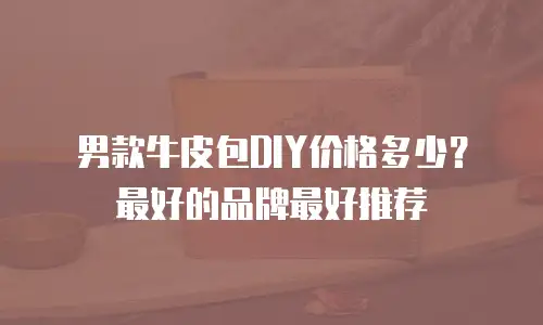 男款牛皮包DIY价格多少？最好的品牌最好推荐