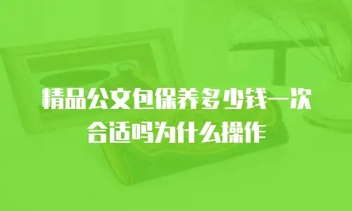 精品公文包保养多少钱一次合适吗为什么操作