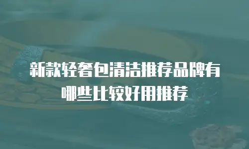 新款轻奢包清洁推荐品牌有哪些比较好用推荐