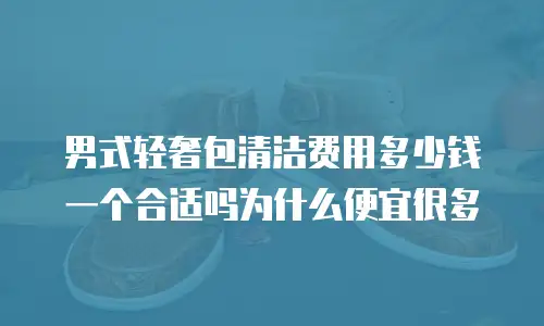 男式轻奢包清洁费用多少钱一个合适吗为什么便宜很多