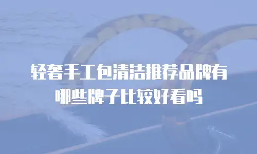 轻奢手工包清洁推荐品牌有哪些牌子比较好看吗