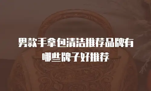 男款手拿包清洁推荐品牌有哪些牌子好推荐