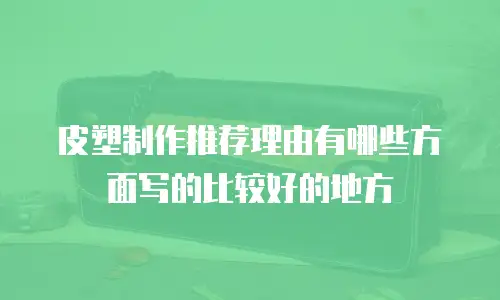 皮塑制作推荐理由有哪些方面写的比较好的地方