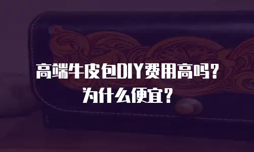 高端牛皮包DIY费用高吗？为什么便宜？