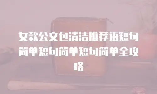 女款公文包清洁推荐语短句简单短句简单短句简单全攻略