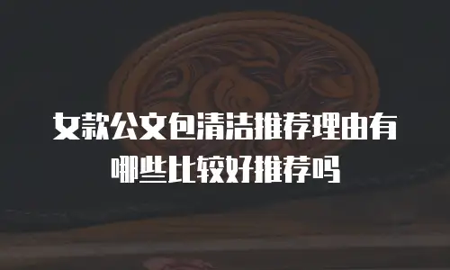 女款公文包清洁推荐理由有哪些比较好推荐吗