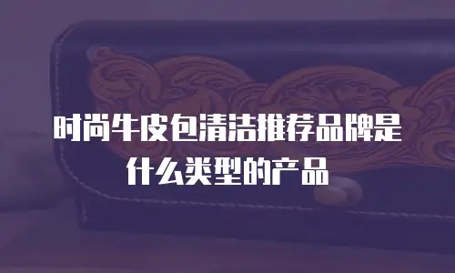 时尚牛皮包清洁推荐品牌是什么类型的产品
