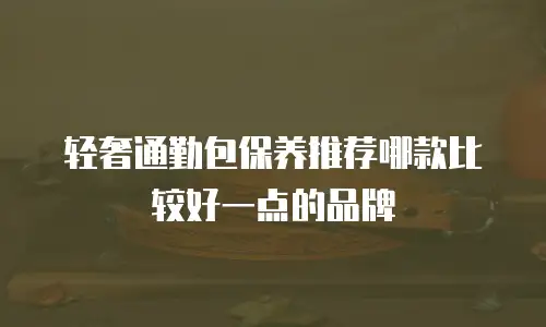 轻奢通勤包保养推荐哪款比较好一点的品牌