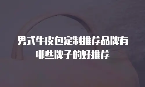 男式牛皮包定制推荐品牌有哪些牌子的好推荐