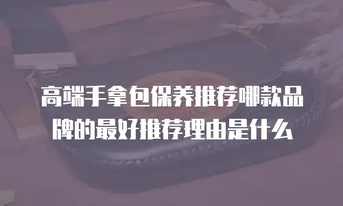 高端手拿包保养推荐哪款品牌的最好推荐理由是什么