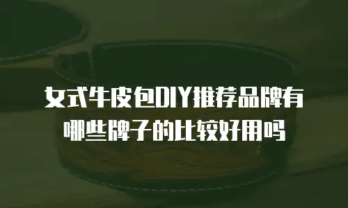 女式牛皮包DIY推荐品牌有哪些牌子的比较好用吗