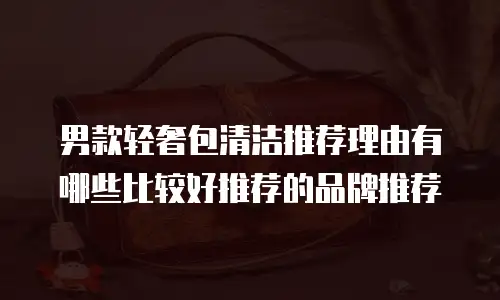 男款轻奢包清洁推荐理由有哪些比较好推荐的品牌推荐