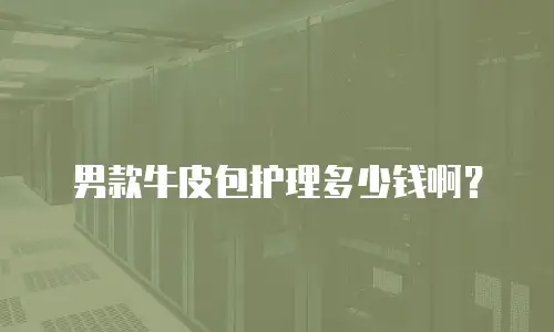 男款牛皮包护理多少钱啊？