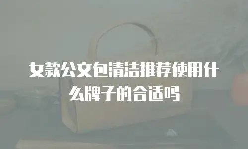女款公文包清洁推荐使用什么牌子的合适吗