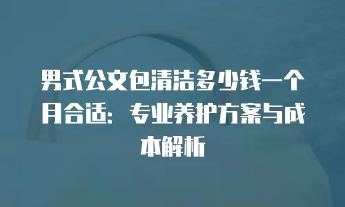 男式公文包清洁多少钱一个月合适：专业养护方案与成本解析