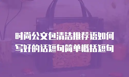 时尚公文包清洁推荐语如何写好的话短句简单概括短句