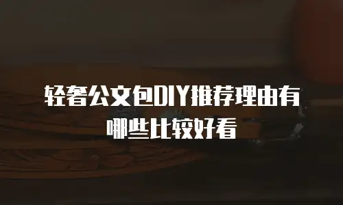 轻奢公文包DIY推荐理由有哪些比较好看