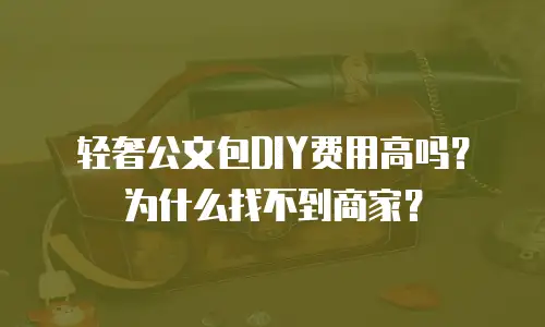 轻奢公文包DIY费用高吗？为什么找不到商家？