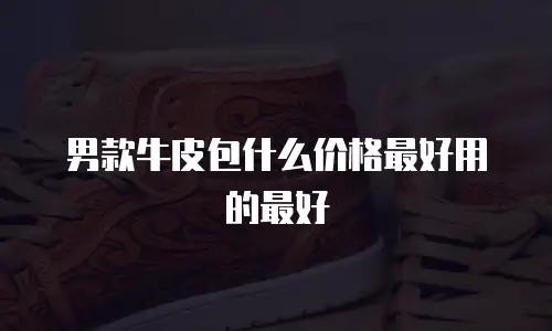 男款牛皮包什么价格最好用的最好