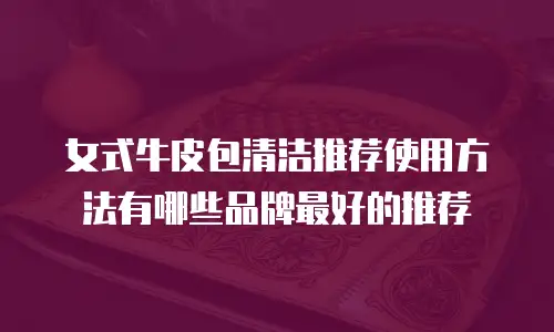 女式牛皮包清洁推荐使用方法有哪些品牌最好的推荐