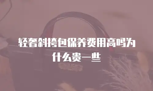 轻奢斜挎包保养费用高吗为什么贵一些