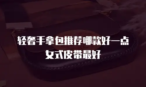 轻奢手拿包推荐哪款好一点女式皮带最好