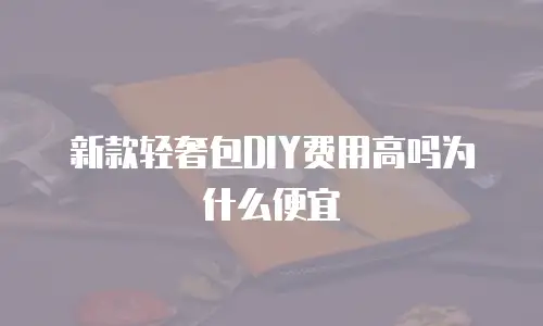 新款轻奢包DIY费用高吗为什么便宜