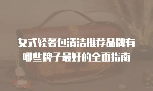 女式轻奢包清洁推荐品牌有哪些牌子最好的全面指南