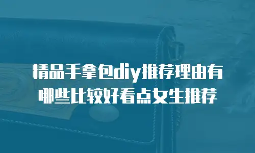 精品手拿包diy推荐理由有哪些比较好看点女生推荐