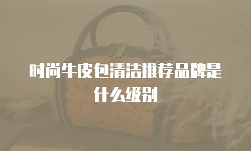 时尚牛皮包清洁推荐品牌是什么级别