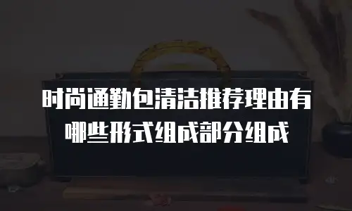 时尚通勤包清洁推荐理由有哪些形式组成部分组成