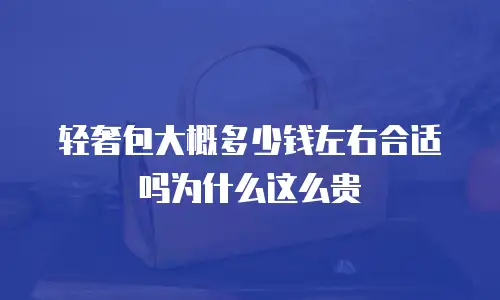 轻奢包大概多少钱左右合适吗为什么这么贵
