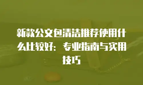 新款公文包清洁推荐使用什么比较好：专业指南与实用技巧