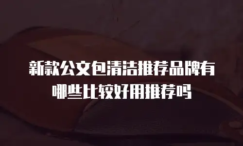 新款公文包清洁推荐品牌有哪些比较好用推荐吗